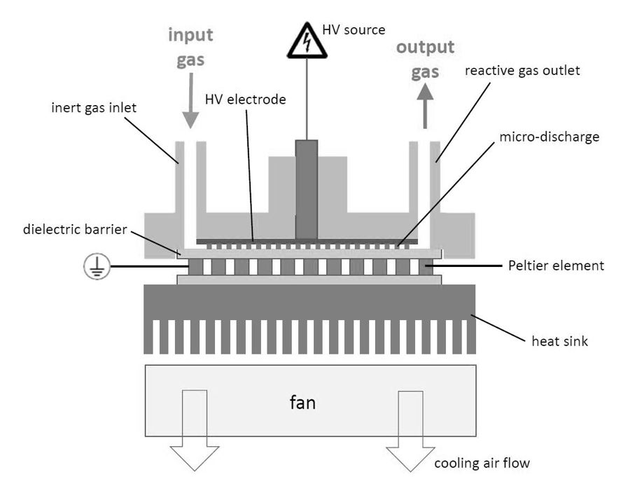 Schematic representation of the reactor