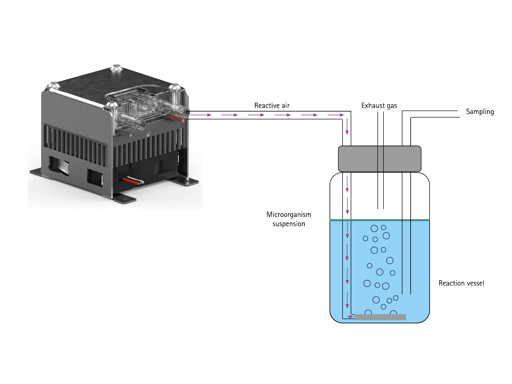 The graphic shows the experimental setup of reduction of live cell counts with the MediPlas system.